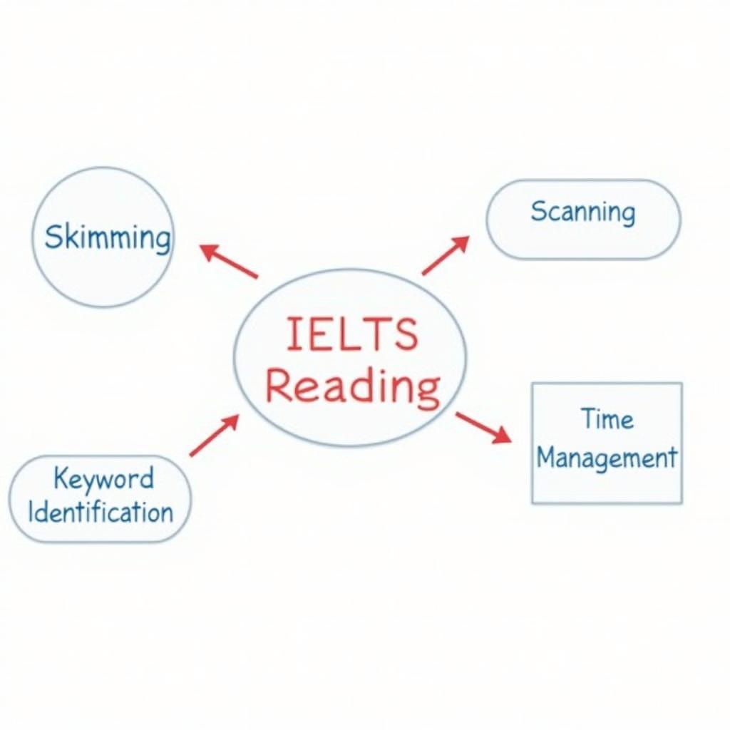 Phương pháp luyện Reading IELTS